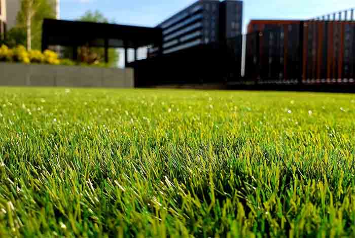 Garden and outdoor improvements in Austin Texas